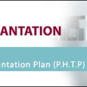 Personalized Hair Transplantation Plan (P.H.T.P.) Banner