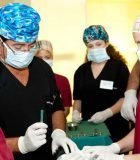 FUE Hair Transplant team - Bergmann Kord
