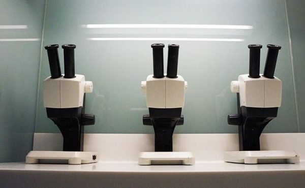 Microscopes - Bergmann Kord Hair Clinic