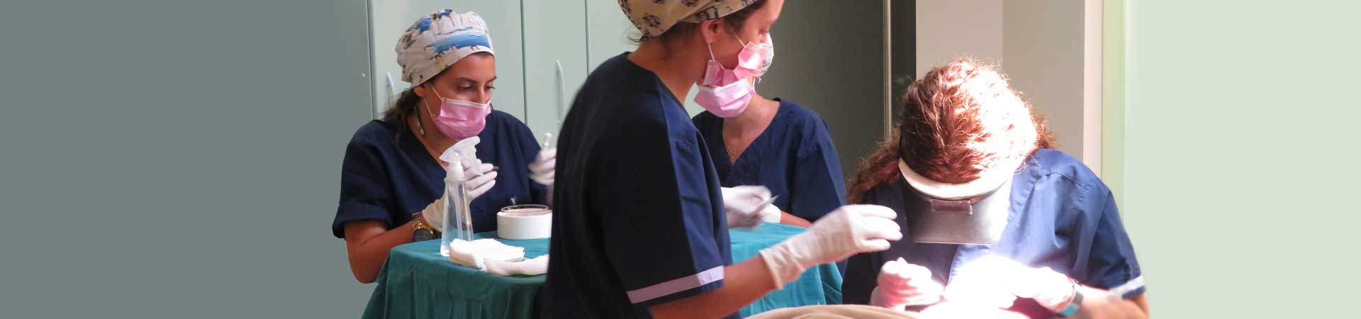 metamosxefsi-malliwn-fue-hair-clinic-iatrikes-omades-header-001